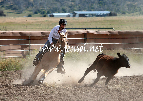 AdaminabyCampdraft_0180