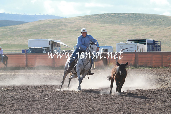 AdaminabyCampdraft_0102