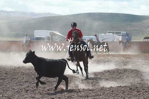AdaminabyCampdraft_0214