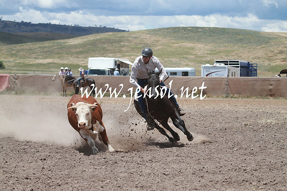 AdaminabyCampdraft_0563