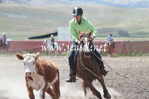 AdaminabyCampdraft_0398