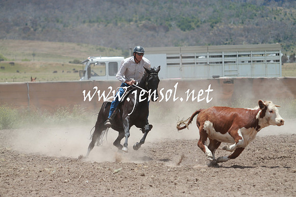 AdaminabyCampdraft_0552