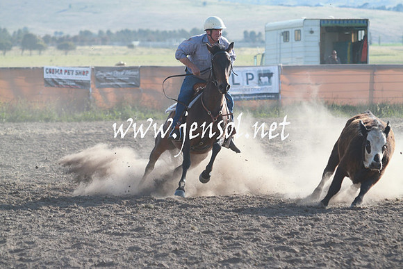 AdaminabyCampdraft_0029