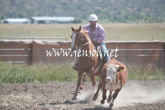 AdaminabyCampdraft_0329