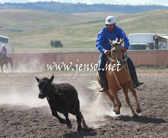 AdaminabyCampdraft_0259