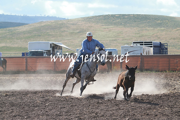 AdaminabyCampdraft_0103