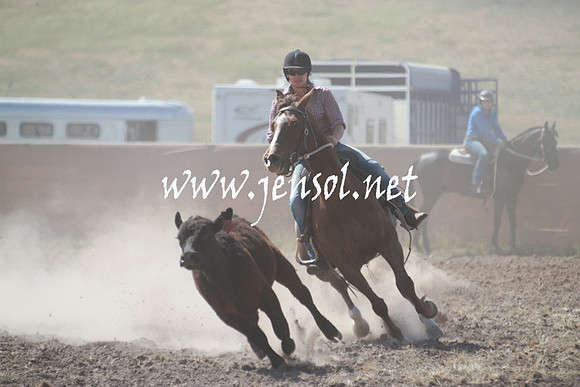 AdaminabyCampdraft_0254