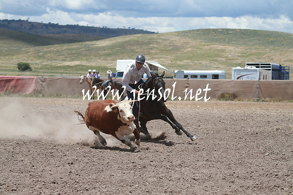 AdaminabyCampdraft_0559
