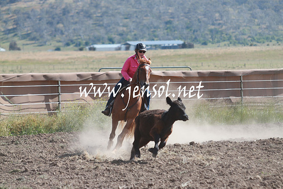 AdaminabyCampdraft_0169