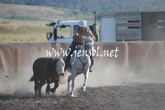 AdaminabyCampdraft_0036