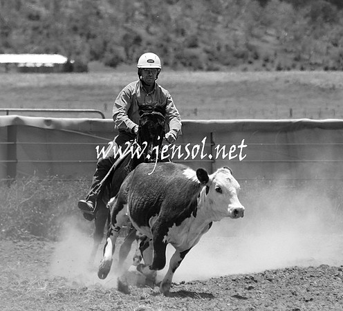 AdaminabyCampdraft_0534