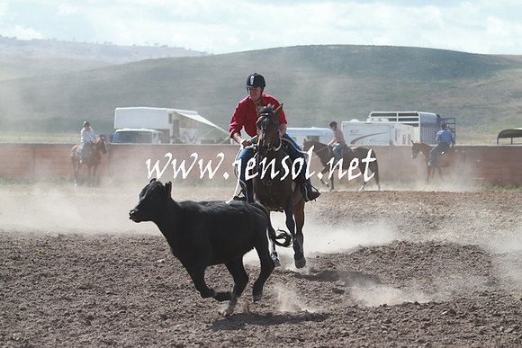 AdaminabyCampdraft_0213