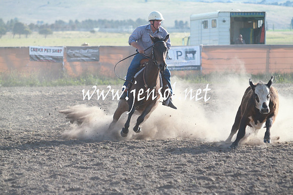 AdaminabyCampdraft_0028