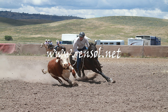 AdaminabyCampdraft_0560