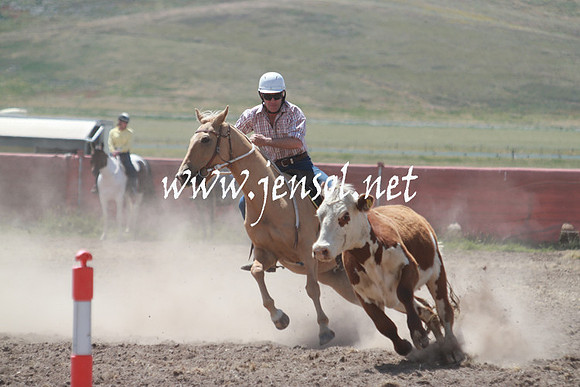AdaminabyCampdraft_0411