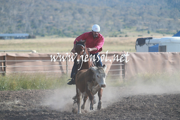 AdaminabyCampdraft_0039
