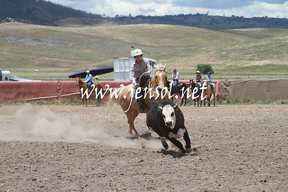 AdaminabyCampdraft_0577