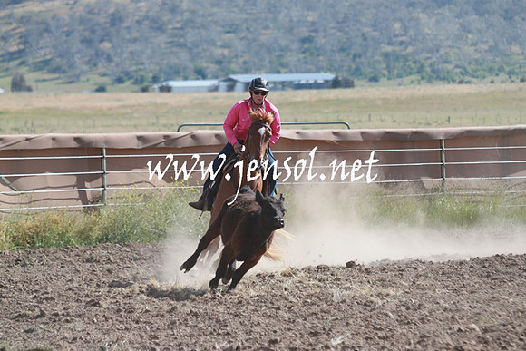 AdaminabyCampdraft_0167