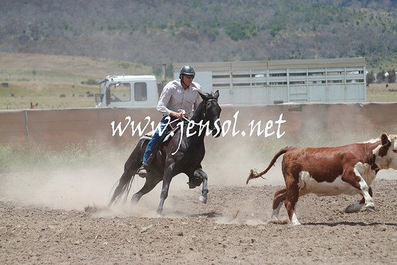 AdaminabyCampdraft_0553
