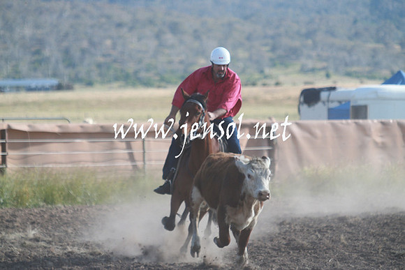 AdaminabyCampdraft_0042