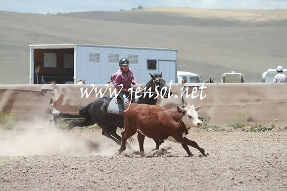 AdaminabyCampdraft_0526