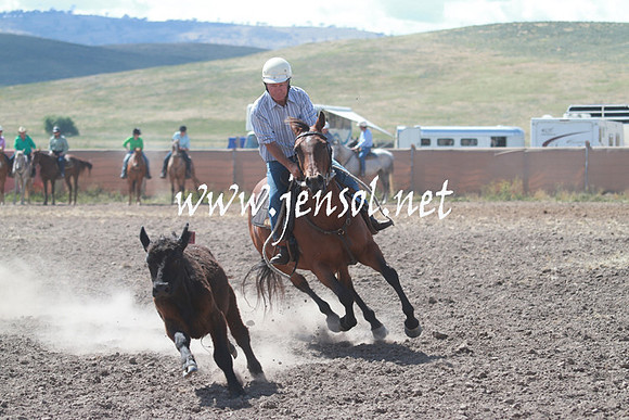 AdaminabyCampdraft_0295