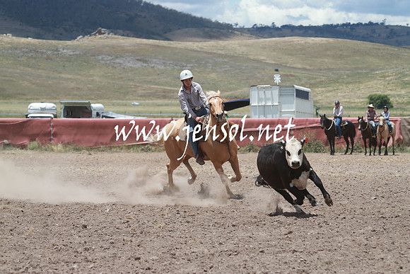 AdaminabyCampdraft_0574
