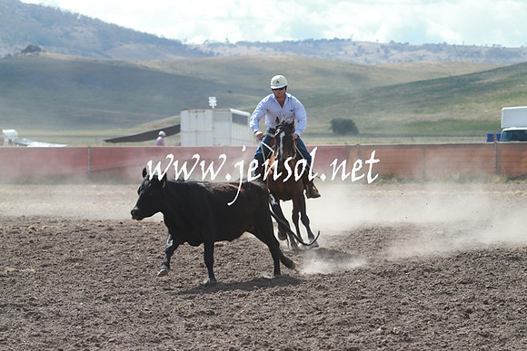 AdaminabyCampdraft_0236
