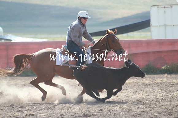 AdaminabyCampdraft_0113