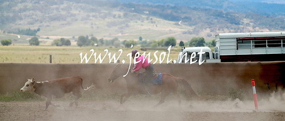 AdaminabyCampdraft_0503
