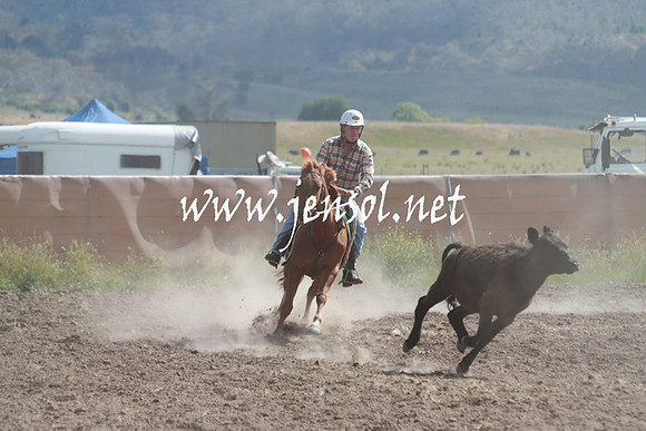 AdaminabyCampdraft_0226