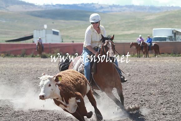AdaminabyCampdraft_0345