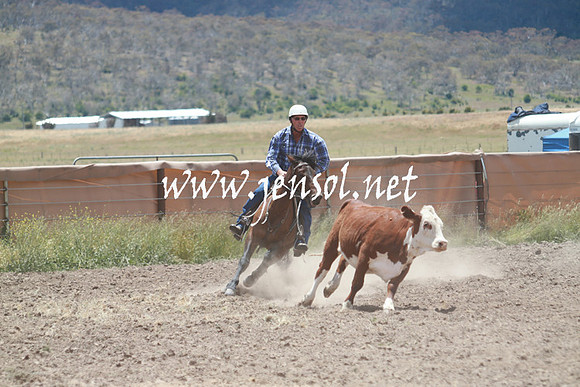 AdaminabyCampdraft_0547