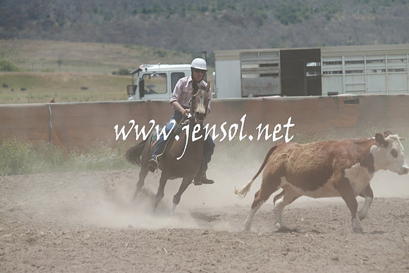 AdaminabyCampdraft_0446
