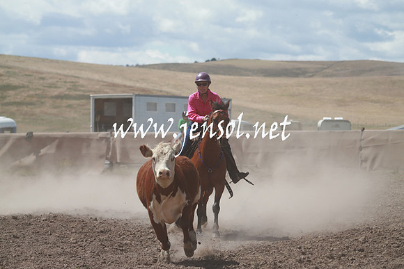 AdaminabyCampdraft_0381