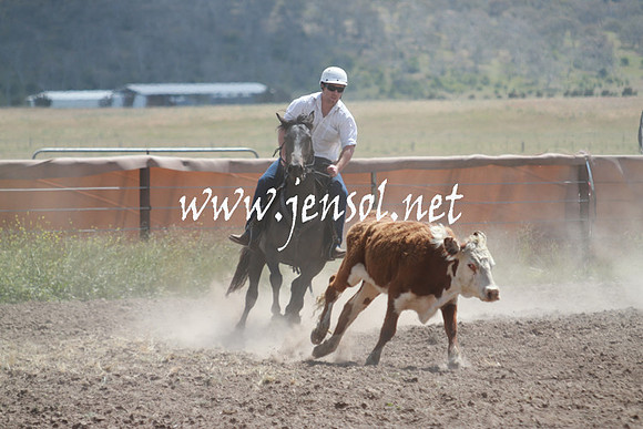 AdaminabyCampdraft_0441