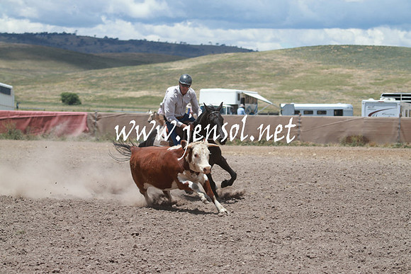 AdaminabyCampdraft_0556