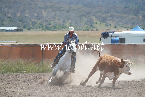 AdaminabyCampdraft_0414