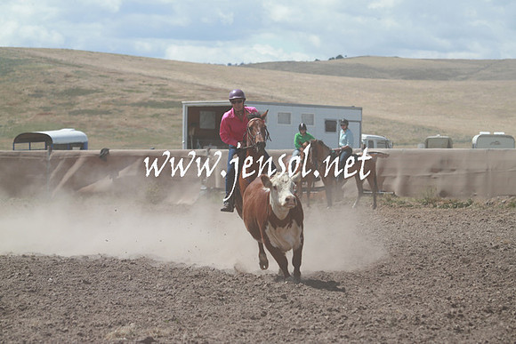 AdaminabyCampdraft_0376