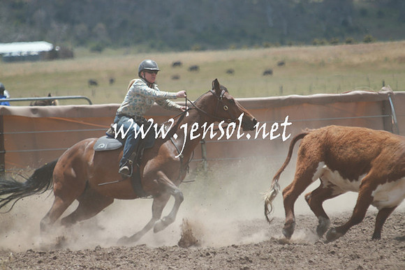 AdaminabyCampdraft_0445