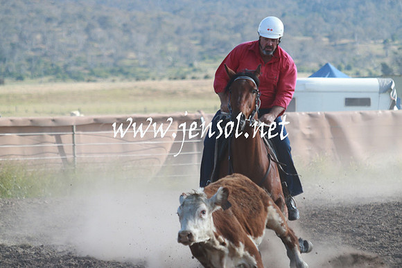 AdaminabyCampdraft_0044