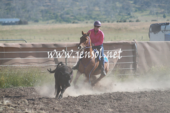 AdaminabyCampdraft_0077