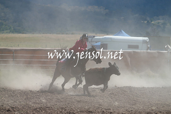 AdaminabyCampdraft_0264
