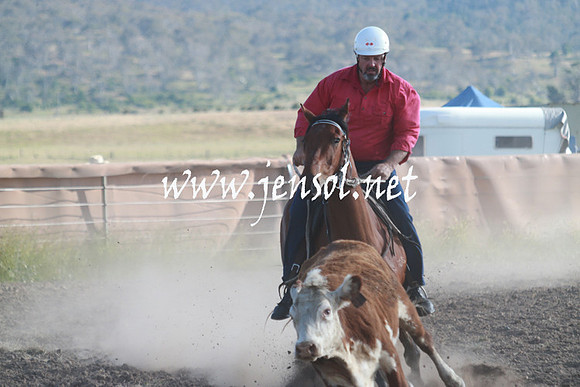 AdaminabyCampdraft_0043