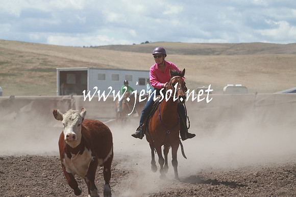 AdaminabyCampdraft_0387