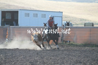 AdaminabyCampdraft_0014