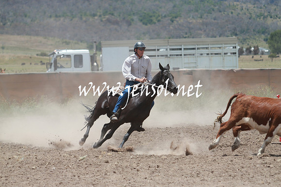 AdaminabyCampdraft_0555