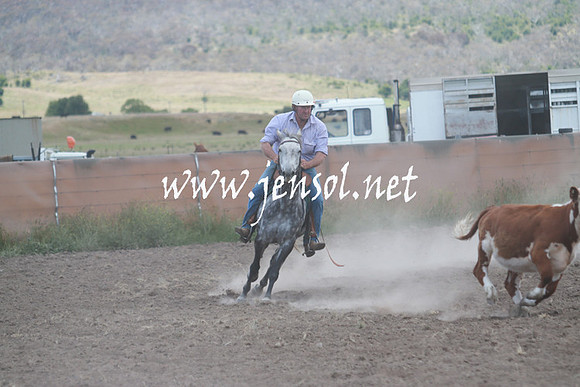 AdaminabyCampdraft_0520