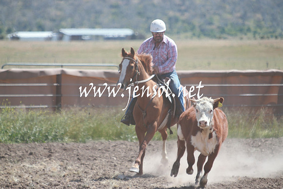 AdaminabyCampdraft_0330