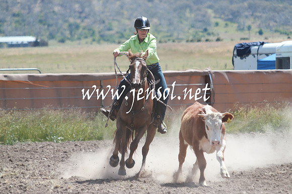 AdaminabyCampdraft_0393